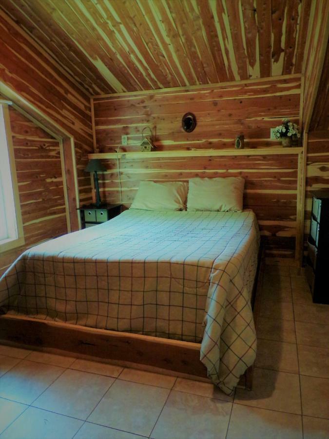 Cedar Cabin Located On A Buffalo Farm Marshall Eksteriør bilde